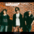 the pillows、投票で選ばれた30曲をプレイリスト化