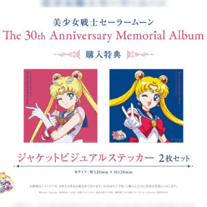 LPレコード「美少女戦士セーラームーン The 30th Anniversary ...