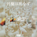 洋画円盤廉価シリーズ「死ぬまでにこれは観ろ！2024」発売決定