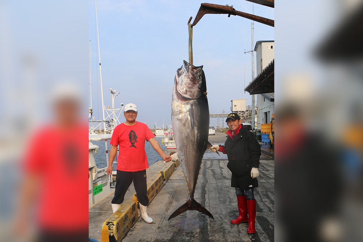 福田こうへいまぐろ一本釣り