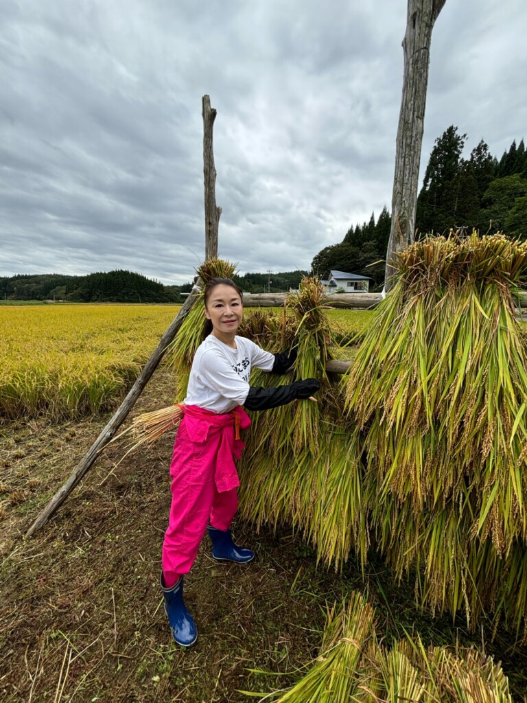 岩本公水「公水(くみ)こまち」