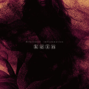 kein『delusional inflammation』通常盤