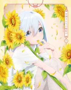 「甘神さんちの縁結び」Blu-ray【期間限定版】【Vol.6】