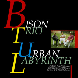 アーバン・ラビリンス URBAN LABYRINTH / バイソン片山 BISON KATAYAMA(1995年)