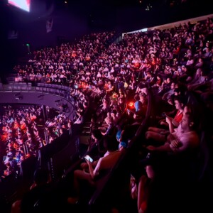 Anime Expo 2025上映会レポート