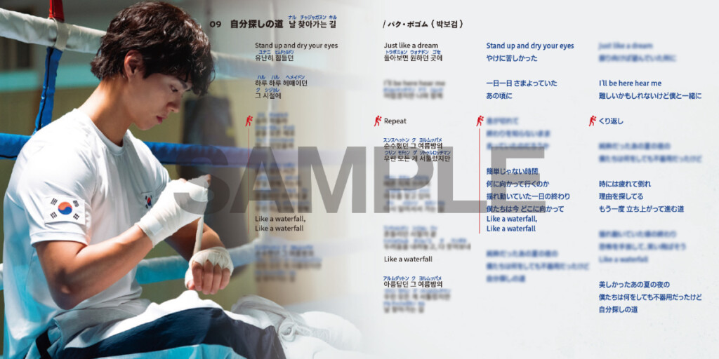 韓国ドラマ『グッドボーイ』OST