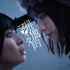 排他的ファイター