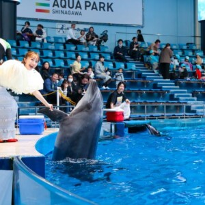 ももいろクローバーZ