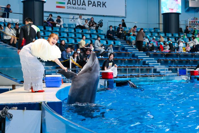 ももいろクローバーZ