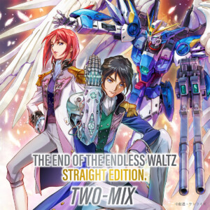 TWO-MIX『THE END OF THE ENDLESS WALTZ STRAIGHT EDITION.』ジャケット写真