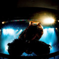 Bimi『Bimi Live Tour 2026 -SOME MINGLE-』東京公演のセトリプレイリストを公開